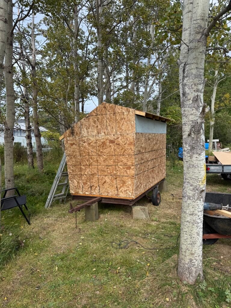 The wooden Cove workshop taking shape outdoors among the trees.