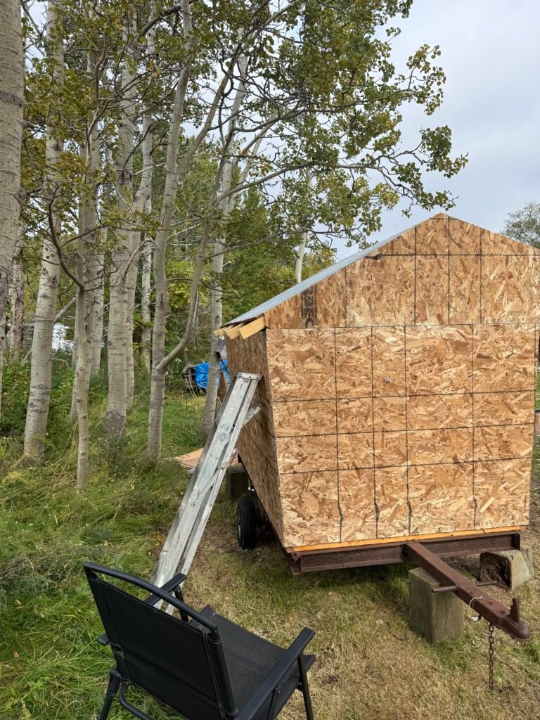 The Cove workshop’s new plywood outer wall taking shape among the trees.