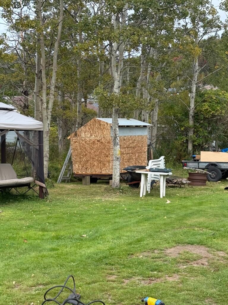 Wide outdoor view of the Cove workshop among trees, with the plywood structure and open area in front.